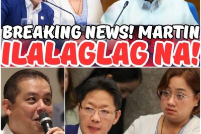 🚨🔥 BREAKING! MAY MAGSASALITA NA KAY ROMUALDEZ! 💥 Ang sekreto ay ilalabas na, at tiyak na ikagugulat ng lahat 😱✨ Lahat ng intriga at tsismis, mabubunyag sa wakas! 🔴 Click to discover the full story!