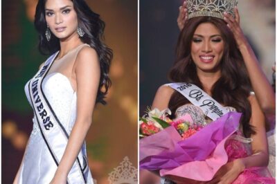 👑 PATI QUEENS, MAY PA-THROWBACK! 😱💗 Binibining Pilipinas nagbalik-tanaw sa 2016, golden year ng pageantry! Pia Wurtzbach Miss Universe homecoming, Miss International crown, at consistent top finishes – nakaka-wow ang achievements ng batch na ito! 🌟 Click to discover the full story.