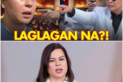 TAPOS NA!? VP Sara Biglang Nilaglag Ng Mga Kaalyado At Dating Kasangga At Kaibigan?! 