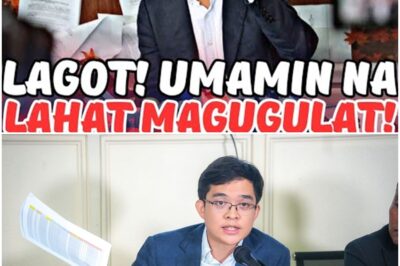 ⚡ MIND-BLOWING CONFESSION! Leviste UMAMIN SA ISANG SHOCKING REVELATION na siguradong magpapaikot ng ulo ng lahat! 😳 Ang social media ay nag-alburoto, at ang bawat galaw at pahayag niya ay pinag-uusapan at sinusuri ng publiko. 🔥 Ano ang tunay na dahilan ng kanyang confession? Ano ang magiging epekto sa reputasyon niya, sa mga kaalyado, at sa mga kritiko? 🤯 Ang bawat larawan, clip, at post ay punong-puno ng speculation, debate, at curiosity. 💔 Ano kaya ang susunod na hakbang at paano haharapin ng mundo ang shocking revelation na ito? You won’t believe what happens next! 💥