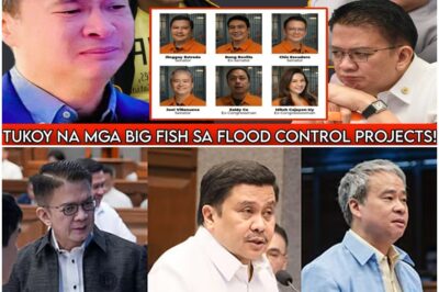 NABUNYAG NA ang katotohanang yayanig sa buong Senado ngayon! KUMAKALABOG na balita ang tumukoy kina Joel Villanueva, Chiz Escudero, at Jinggoy Estrada bilang mga “Big Fish” sa likod ng maanomalyang flood control projects. HULI sa bitag ang mga dokumentong magdadala sa kanila sa malamig na rehas dahil sa bilyong pisong winaldas. Basahin ang mga detalyeng magpapabagsak sa kanila.