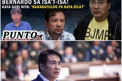 TRINAYDOR SIYA, IYAN MALAMANG ANG PAKIRAMDAM NI REVILLA!