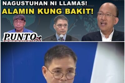 MAY MGA SINABI ANG DFA OFFICIALS SA ISYU NG WEST PHIL SEA NA HINDI NAGUSTUHAN NI LLAMAS!