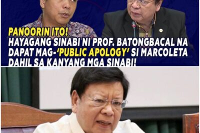 HAYAGANG SINABI NI PROF. BATONGBACAL NA DAPAT MAG-‘PUBLIC APOLOGY’ SI MARCOLETA