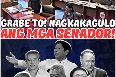 NAGKAINITAN! Muntik nang magpang-abot ang mga senador sa gitna ng mainit na debate matapos lumutang ang isyu tungkol sa tatlong “ahas” na nagtatago sa kanilang hanay. BISTADO! Lumabas na ang mga nakakagimbal na ebidensya na nagpapatunay sa kanilang sabwatan na matagal nang inilihim sa publiko. NAGULANTANG! Ang buong bansa ay hindi makapaniwala sa tindi ng trahedyang ito. Pindutin dito dahil hindi ka maniniwala sa susunod na mangyayari.