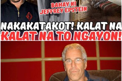 BABALA sa may mahihinang puso dahil siguradong titindig ang iyong balahibo sa nakapangingilabot na itsura ng bahay ni Epstein! BUMULAGA ang mga misteryoso at nakakatakot na kwarto na ginamit sa karumal-dumal na krimen. NAKAKAPANINDIG-BALAHIBO ang mga natagpuan sa loob—mga detalyeng magpapabago sa lahat, ipagpatuloy ang pagbasa.