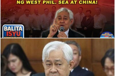 EX-JUSTICE JARDELEZA: DAPAT GAWING BATAYAN SA PAGBOTO SA ELEKSYONG 2028 ANG ISYU NG WPS AT CHINA!