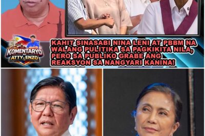 KAHIT SINASABI NINA LENI AT PBBM NA WALANG PULITIKA SA PAGKIKITA NILA…