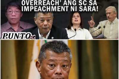 OMBUDSMAN REMULLA, SINANG-AYUNAN ANG KOMENTARYO NI SP SOTTO NA NAG-‘JUDICIAL OVERREACH’ ANG SC 