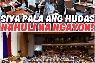 ETO NA! LUMABAS NA ANG TRAYDOR SA SENADO!