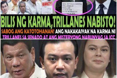 SABOG ANG KATOTOHANAN!🔴Ang nakakaiyak na KARMA ni ANTONIO TRILLANES sa Senado at ang Nabunyag sa ICC