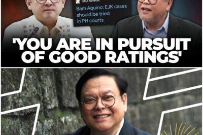 Dean Mel Sta. Maria questions Bam Aquino’s stance on ICC and EJK