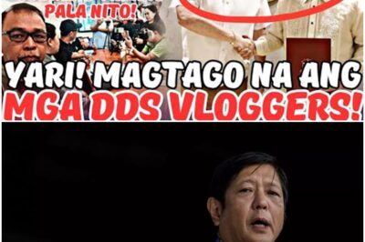 ETO NA! MGA DDS VLOGGERS IPAPAKULONG NIYA? NAKO YARI SILA NGAYON!