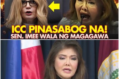 LUMABAS ANG PAGKATIGRE NG ICC, Sen. Imee At DDS Senators WALA Ng MAGAGAWA!