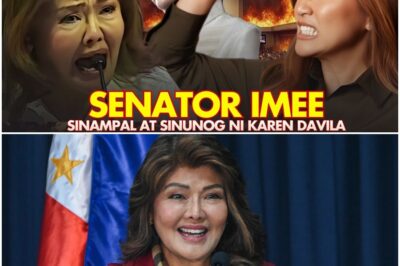 LAGAPAK ang kredibilidad ni Imee matapos siyang barahin nang malala ni Karen Davila sa harap ng bayan. YUMANIG ang studio sa tindi ng sagutan na nagresulta sa hindi inaasahang pagkapahiya ng senadora. HINDI niya talaga kinaya ang matinding bangayan. Ang susunod na mangyayari ay gugulat sa iyo.