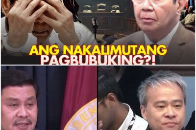 BAGO Kay JINGGOY, JOEL At REVILLA, DITO NAG UGAT ANG EXPOSE Ni LACSON?!