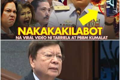 GRABE Hindi LANG Mga DDS SENATORS, PATI AKO NASAMPAL NG MALAKAS Sa NAKAKAKILABOT Na VIRAL VIDEO!