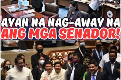 GRABE TO! MGA SENADOR NAG BARDAGULAN!