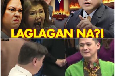 BONG GO BUMALIKTAD NA? ILALAG NA SI VP SARA, AT MGA DDS Senators?!