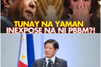 PBBM IBINUKING NA SA WAKAS Ang TUNAY NA KAYAMANAN