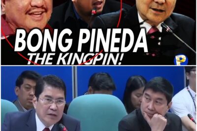 Raffy Tulfo tinukoy si Bong Pineda na KINGPIN gam bling lord at “walang resp eto”