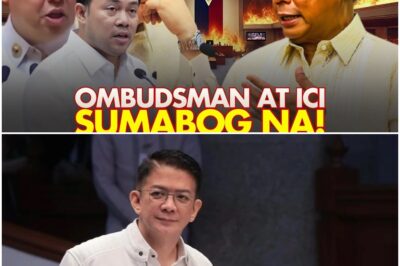 PINAKA-MALALAKAS NA POLITIKO SA BANSA Hindi NA NAPIGILAN Ang OMBUDSMAN At ICI! 