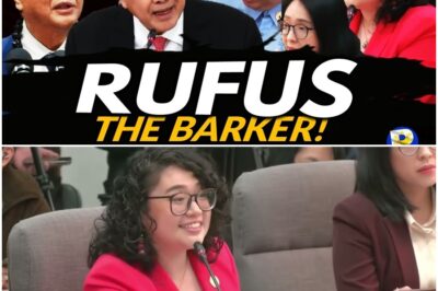 BISTADO NA AGAD! Kitang-kita ng taumbayan na sa simula pa lang ay siguradong ibabasura na ang impeachment complaint laban kay Pangulong Marcos sa Kongreso. LUTONG-MAKAW ang nangyayari dahil hinarang agad ng mga alyado ang anumang pagdinig upang protektahan ang pangulo sa anumang imbestigasyon. Pindutin para malaman ang buong kwento.