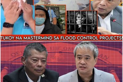 JOEL VILLANUEVA BUKING HIMAS REHAS TUKOY NA MASTERMIND SA FLOOD CONTROL PROJECTS! 