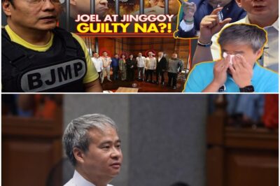 JOEL VILLANUEVA HIMAS REHAS INILABAS NA MATIBAY NA EBIDENSYA TUKOY NA MASTERMIND SA FLOOD CONTROL