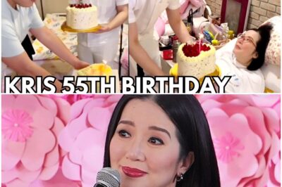 Kris Aquino 55th Birthday NAIYAK sa SORPRESA nila Josh & Bimby