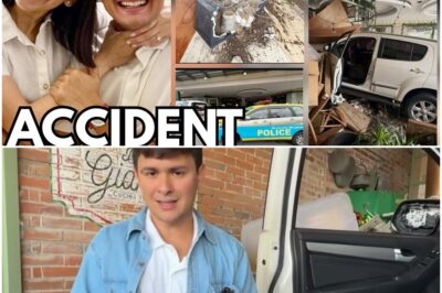 Sarah Geronimo at Matteo Guidicelli NAAKSIDENTE ang kanilang Restaurant