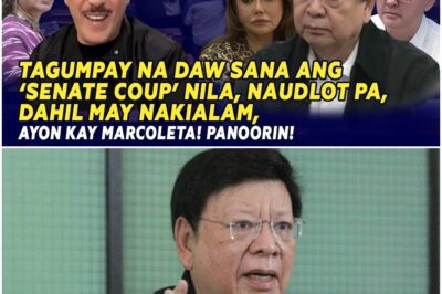 TAGUMPAY NA DAW SANA ANG ‘SENATE COUP’ NILA, NAUDLOT PA, DAHIL MAY NAKIALAM, AYON KAY MARCOLETA!