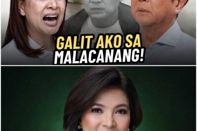 🔥LANI MERCADO GALIT SA MALACAÑANG! DINAMAY SI BONG REVILLA—PRESIDENTE BBM SINISI!🔴
