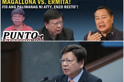 HINDI TOTOO ANG SINASABI NI MARCOLETA NA ‘TREASON’ ANG NAGING DESISYON NI CARPIO