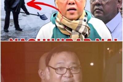 UBOS NA ANG PERA! GANITO NA PALA NGAYON ANG KALAGAYAN NI HARRY ROQUE SA NETHERLAND!