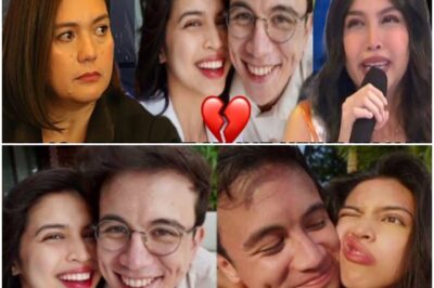 SYLVIA SANCHEZ NAGSALITA NA SA HIWALAYAN NI MAINE MENDOZA AT ARJO ATAYDE