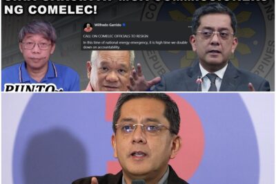 PINAPA-RESIGN NA O KUNG HINDI DAPAT NA DAW MA-IMPEACH SINA GARCIA AT MGA COMMISSIONERS NG COMELEC!