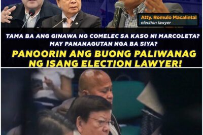 TAMA BA ANG GINAWA NG COMELEC SA KASO NI MARCOLETA? MAY PANANAGUTAN NGA BA SIYA?