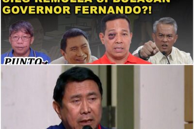 TOTOO BA ANG SABI NI MON TULFO: BINUGBOG NI SILG REMULLA SI BULACAN GOVERNOR FERNANDO?!