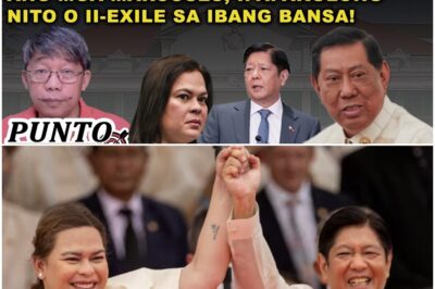 BABALA NI ERICE: PAG NANALO SI SARA SA 2028