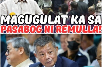 MGA TANGA AT B0B0NG POLITIKO BINULGAR NI REMULLA!