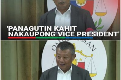 Ombudsman susunod sa hiling na subpoena ng House panel sa SALN ni Sara