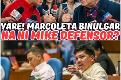 MIKE DEFENSOR NILOKO NI MARCOLETA? YARE ANO TO?!