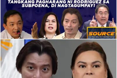 ABOGADO NI SARA NA SI POA, SIGURADONG MAGIGISA SA SUSUNOD NA HEARING!
