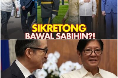 BAKIT Sa LAHAT Ng NAGING Pangulo Ng PILIPINAS, SI PBBM Lang Ang GUMAWA Nito? Bakit May Problema Ba?!