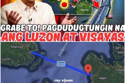 ETO NA! LUZON AT VISAYAS GAGAWAN NA NG TULAY!