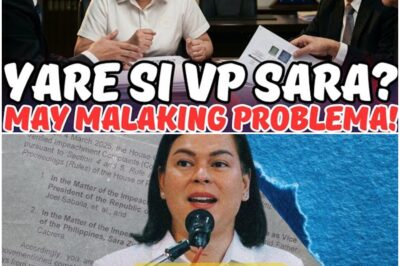 AYAN NA! SARA NANINILIKADO NGAYON!