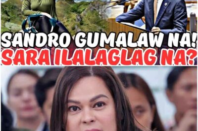 ETO NA! MAGUGULAT KA! SANDRO MAY GAGAWIN KAY SARA DUTERTE?
