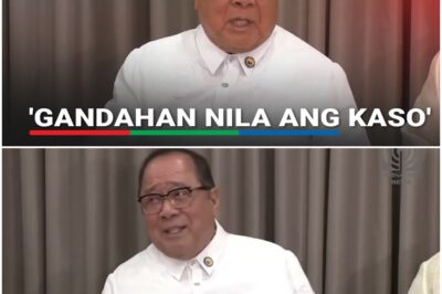 ICYMI: ‘We cannot be accussed of coddling the Dutertes,’ says Puno