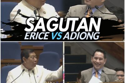 Erice at Adiong Nagkainitan sa Sagutan sa Anti-Political Dynasty Bill